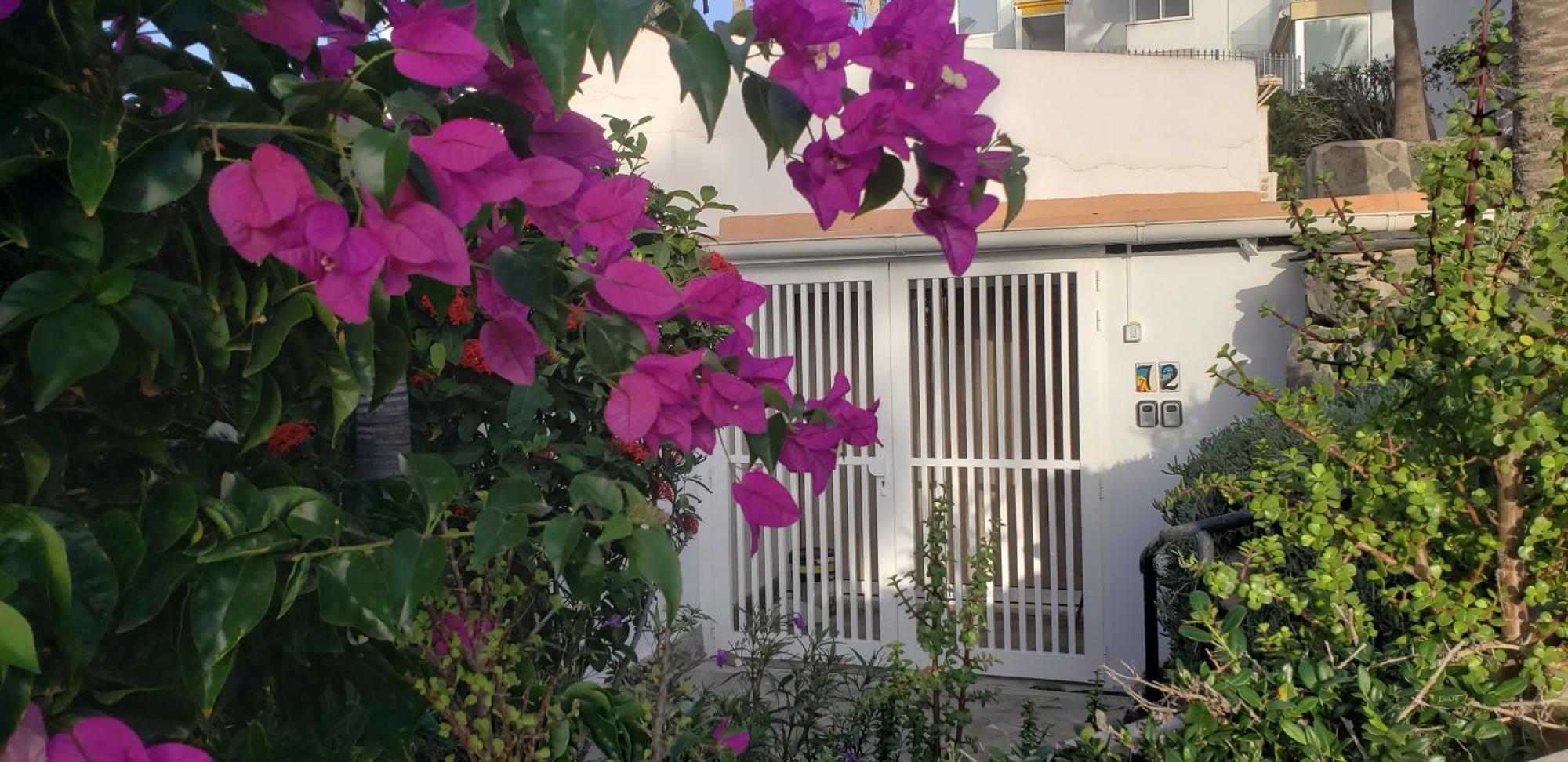 Bungalow Uno - Front Line Of Ocean San Bartolomé Exterior foto